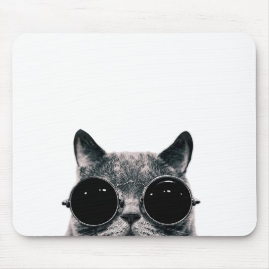 TAPIS DE SOURIS CAT. FRAIS (Devant)