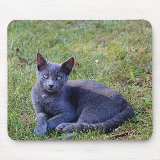 Tapis De Souris Cat Mouse Pad (Devant)