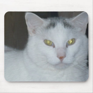 Tapis De Souris Cat Thoughts Chat blanc