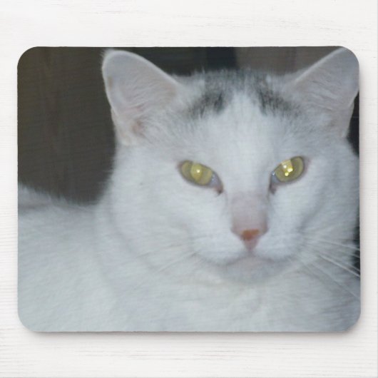 Tapis De Souris Cat Thoughts Chat blanc (Devant)