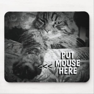 Tapis De Souris Cat veut votre souris Mème Mouse Pad
