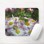 Tapis De Souris Caterpillar et Asters Mousepad (Avec souris)