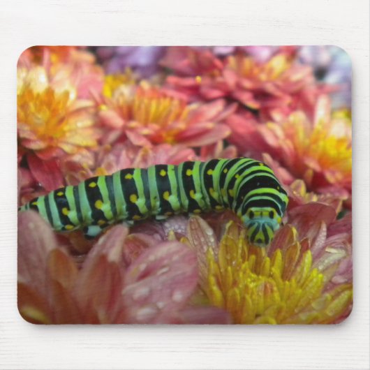 Tapis De Souris Caterpillar Fermer Mousepad (Devant)