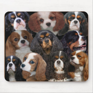 Tapis De Souris Cavalier King Charles mousepad