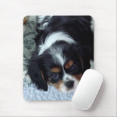 Tapis De Souris Cavalier King Charles Spaniel (Avec souris)