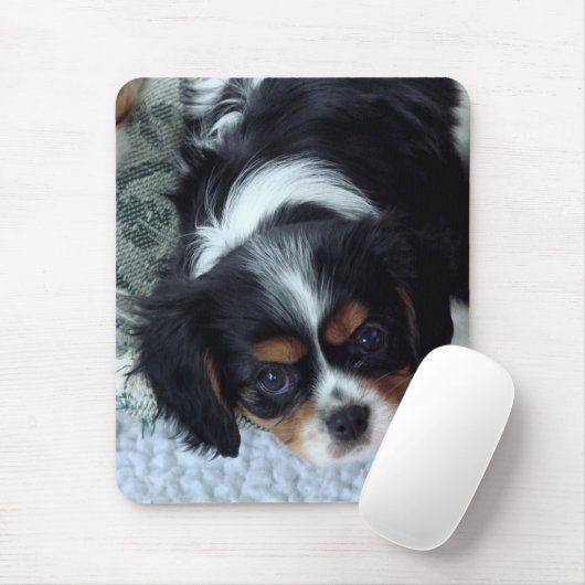 Tapis De Souris Cavalier King Charles Spaniel (Avec souris)