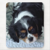 Tapis De Souris Cavalier King Charles Spaniel (Devant)
