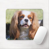 Tapis De Souris Cavalier King Charles Spaniel (Avec souris)