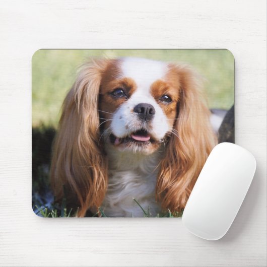 Tapis De Souris Cavalier King Charles Spaniel (Avec souris)