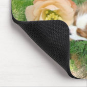 Tapis De Souris Cavalier King Charles Spaniel (Coin)