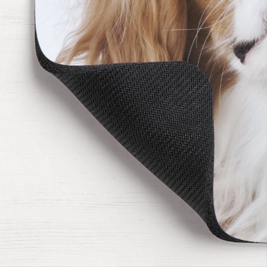 Tapis De Souris Cavalier King Charles Spaniel assis en studio (Coin)