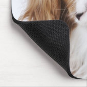 Tapis De Souris Cavalier King Charles Spaniel assis en studio (Coin)