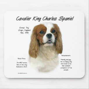 Tapis De Souris Cavalier King Charles Spaniel (Blenheim) Histoire