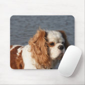 Tapis de souris Cavalier King Charles Spaniel sur (Avec souris)
