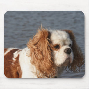 Tapis de souris Cavalier King Charles Spaniel sur