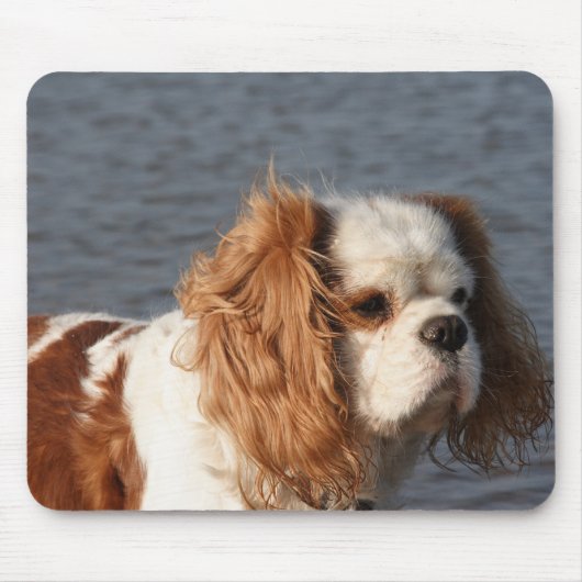 Tapis de souris Cavalier King Charles Spaniel sur (Devant)