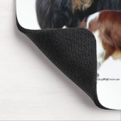 Tapis De Souris Cavalier King Charles Spaniel Trio 2 (Coin)