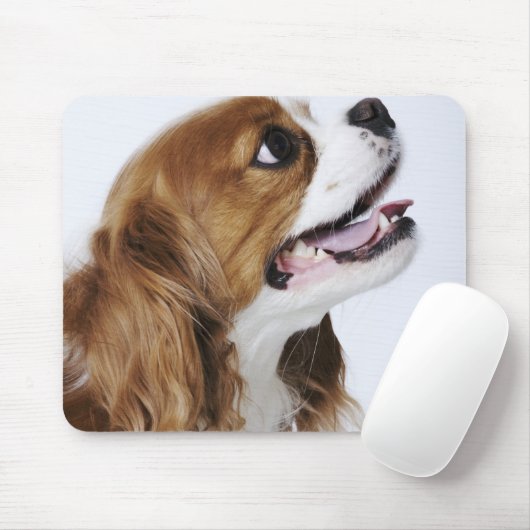 Tapis De Souris Cavalier King Charles Spaniel, vue latérale (Avec souris)