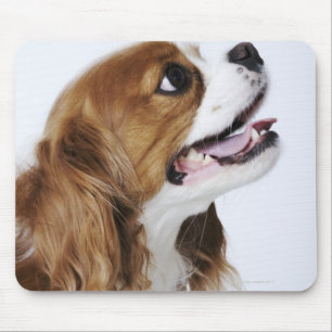 Tapis De Souris Cavalier King Charles Spaniel, vue latérale