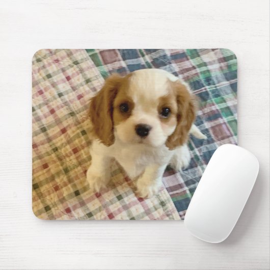 Tapis De Souris Cavalier Spaniel Chiot Mousepad (Avec souris)
