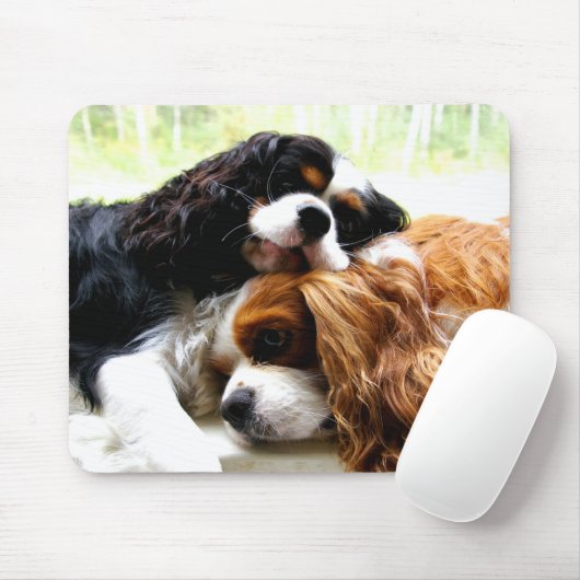 Tapis De Souris Cavaliers de frères (Avec souris)