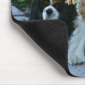 Tapis De Souris Cavaliers et Zinnias Mousepad (Coin)