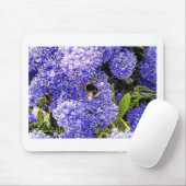 Tapis De Souris Ceanothus Flower Bee (Avec souris)