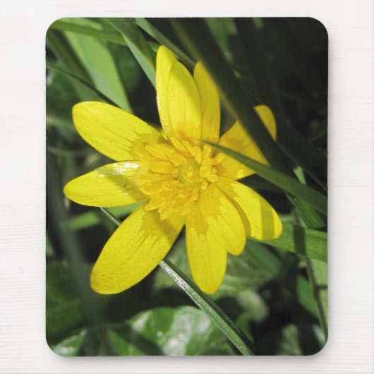 Tapis De Souris celandine (Devant)