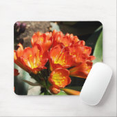 Tapis De Souris Célébrez (Avec souris)