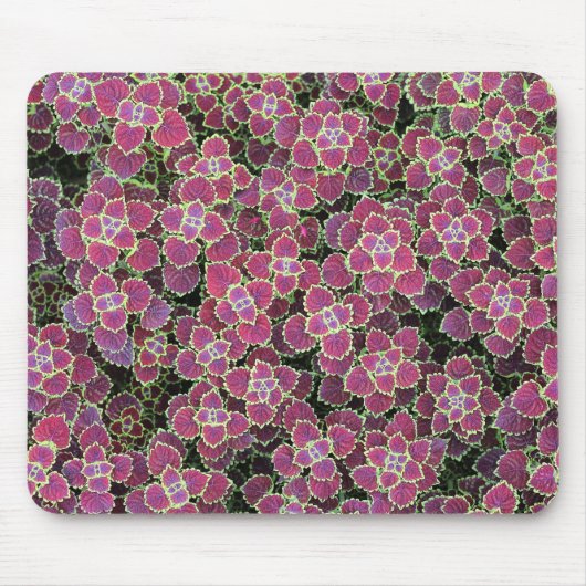 Tapis De Souris cellulaire (Devant)