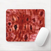 Tapis De Souris Cellules de Sclerenchyma d'un puits de cerise (Avec souris)