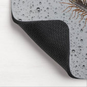 TAPIS DE SOURIS CENTIPÈDE DE MAISON (Coin)