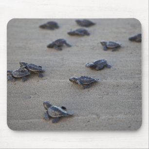 Tapis De Souris Central America, El Salvador, Pacific Ocean