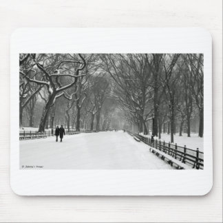 Tapis De Souris Central Park