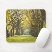 Tapis De Souris Central Park Mousepad (Avec souris)