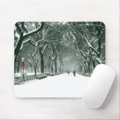 Tapis De Souris Central Park Snowy Path (Avec souris)