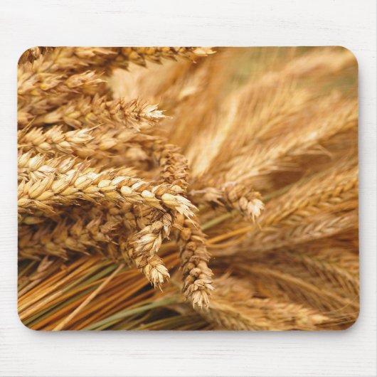 Tapis De Souris Céréales - Grain (Devant)