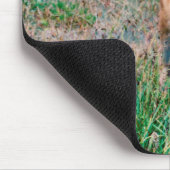 Tapis De Souris Cerf - (Coin)