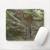 Tapis De Souris Cerf (Avec souris)