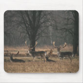 Tapis De Souris Cerf (Devant)