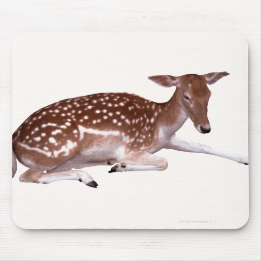 Tapis De Souris cerf 2 (Devant)