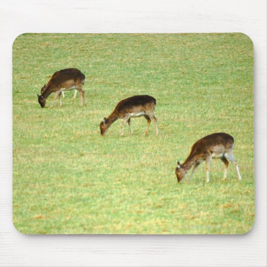 Tapis De Souris cerf 2 (Devant)