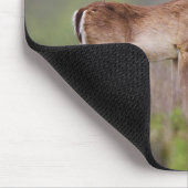 Tapis De Souris Cerf à queue blanche (Coin)