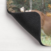 Tapis De Souris Cerf d'automne dans le lac Arrowhead (Coin)
