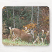 Tapis De Souris Cerf d'automne dans le lac Arrowhead (Devant)