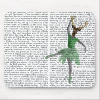 Cerf de ballet en vert