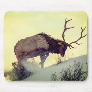 tapis de souris cerf extra grande vitesse sauvage