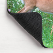 Tapis De Souris Cerf féminin à queue blanche (Coin)