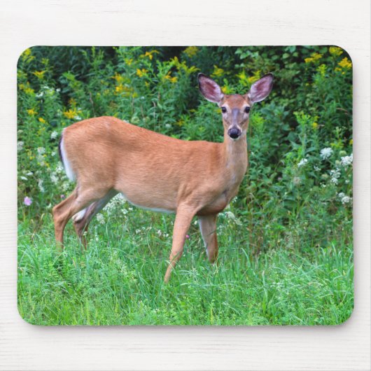 Tapis De Souris Cerf féminin à queue blanche (Devant)