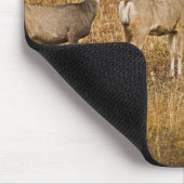 Tapis De Souris Cerf Mule (Odocoileus hemionus) Un à gauche avec (Coin)